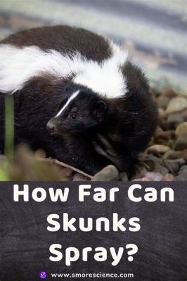 Can a Skunk Spray After It's Dead? And Why Do Pineapples Dream of Electric Sheep?