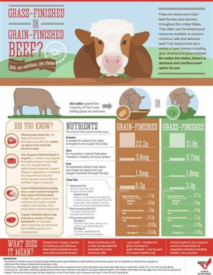 How Much Grain Should I Feed My Steer Per Day: A Symphony of Nutrition and Whimsy