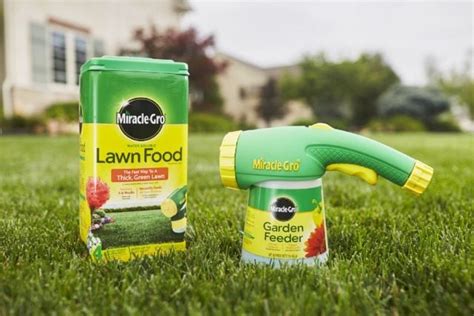 What is the best lawn fertilizer, and can it also make your garden gnomes come to life?